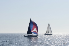 Regatta noch Blankenberge
