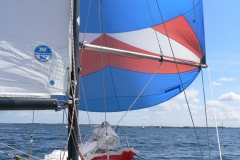 Mit Spinnaker auf Svendborg zu